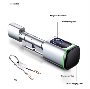 Europe Standard TTLock Tuya Ble Biometric Fingerprint Door Lock Electric Cylinder Smart Locks