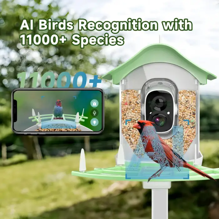 Waterproof 1080P APP Real Time Night Vision Smart Bird Feeder with Camera Solar Powered