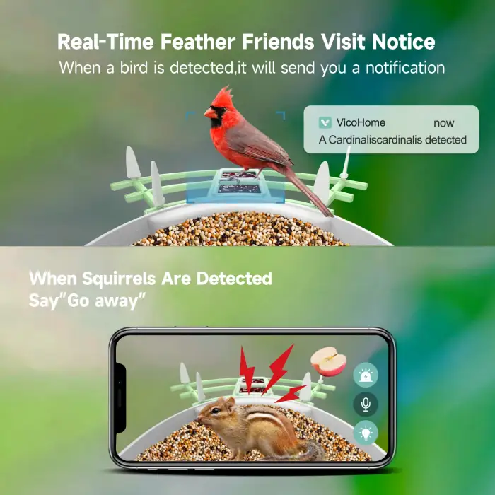 Waterproof 1080P APP Real Time Night Vision Smart Bird Feeder with Camera Solar Powered