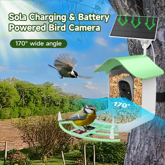 Waterproof 1080P APP Real Time Night Vision Smart Bird Feeder with Camera Solar Powered