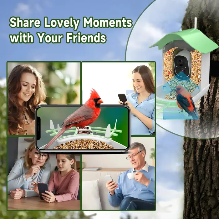 Waterproof 1080P APP Real Time Night Vision Smart Bird Feeder with Camera Solar Powered