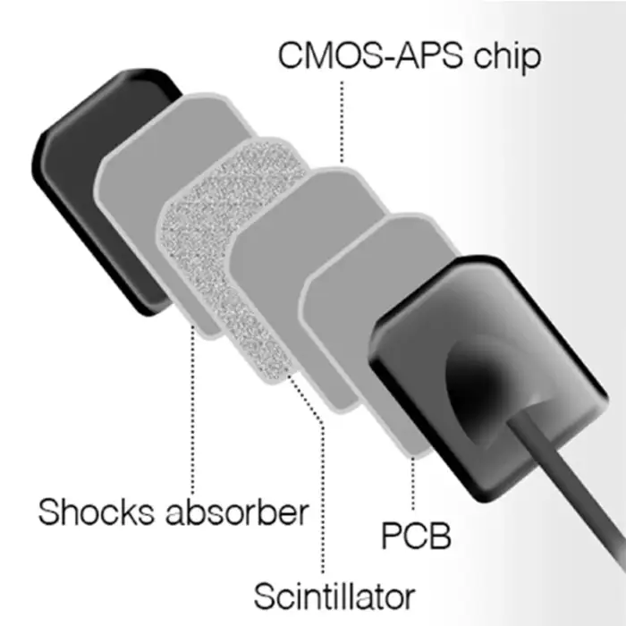 Digital Rvg Dental Sensor Smart High Resolution Dental Digital X-ray Sensor