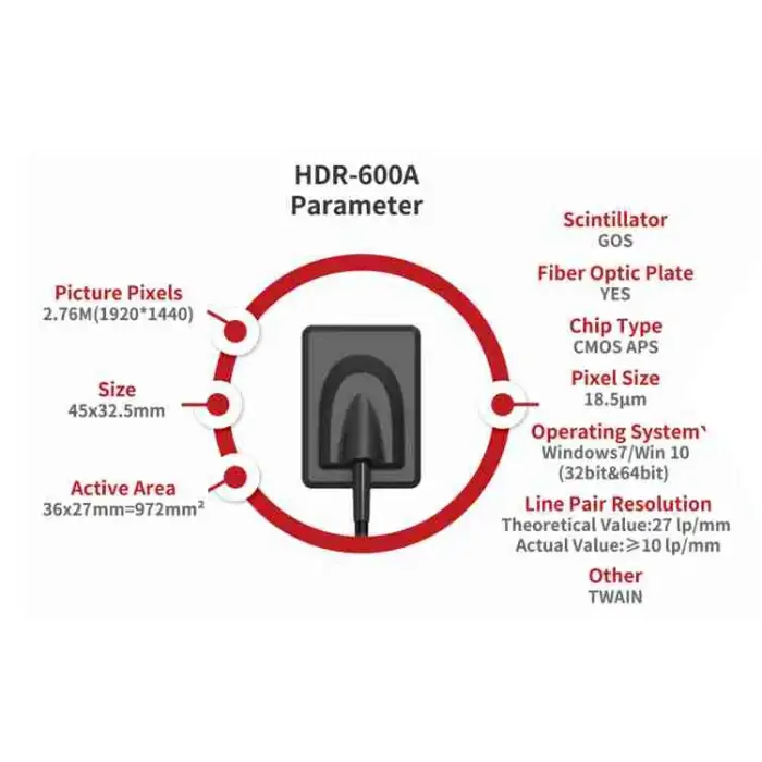 Digital Rvg Dental Sensor Smart High Resolution Dental Digital X-ray Sensor