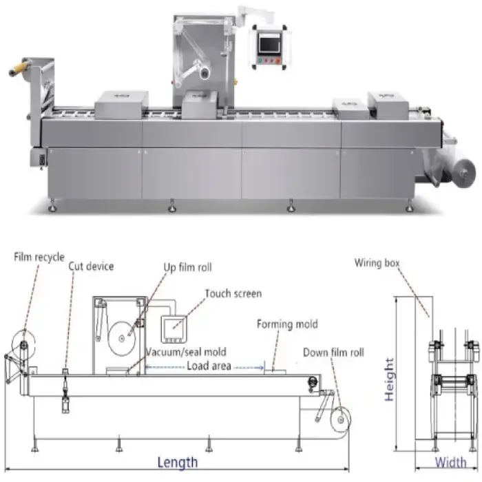 Automatic Food Nitrogen Plastic Tray Thermoforming Packaging Machines Thermoform Date Palm Sausage Corn Vacuum Packing Machine