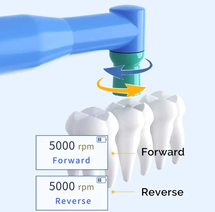 Portable Dental Prophy Handpiece electric Tooth Polisher