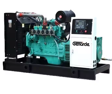 Gas Generator Turbine 20-200kw LPG/Biogas/Natural Gas Generator with Open/Silent Type