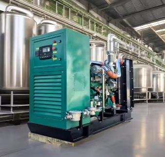 Backup Power Generation Equipment 50KW Liquefied Petroleum Gas Generator 4BT Type Silent Containerized Natural Gas Generator