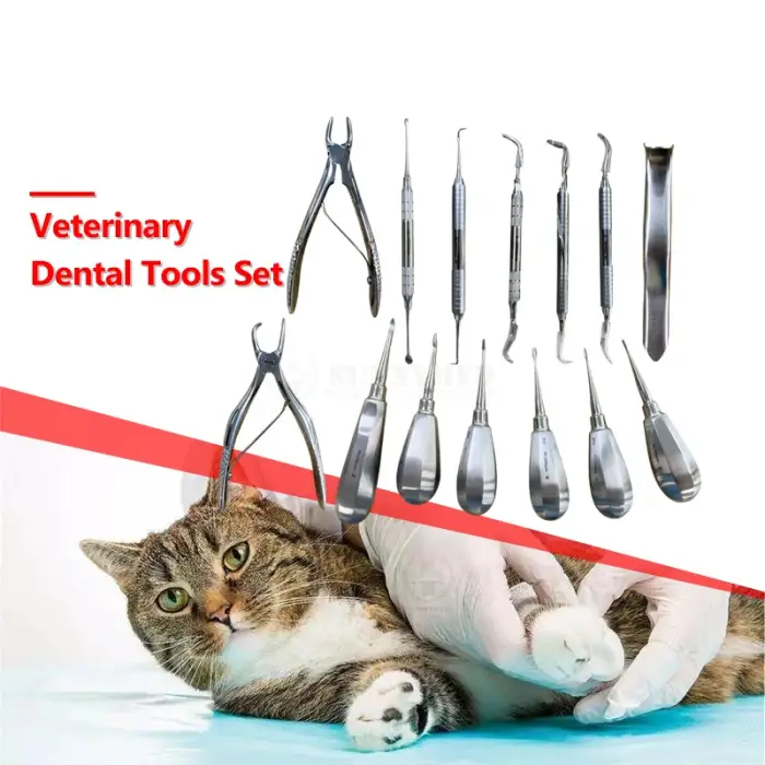 Veterinary Dental Instruments Examination Tools Set of Animal Mouth Health Care Equipment