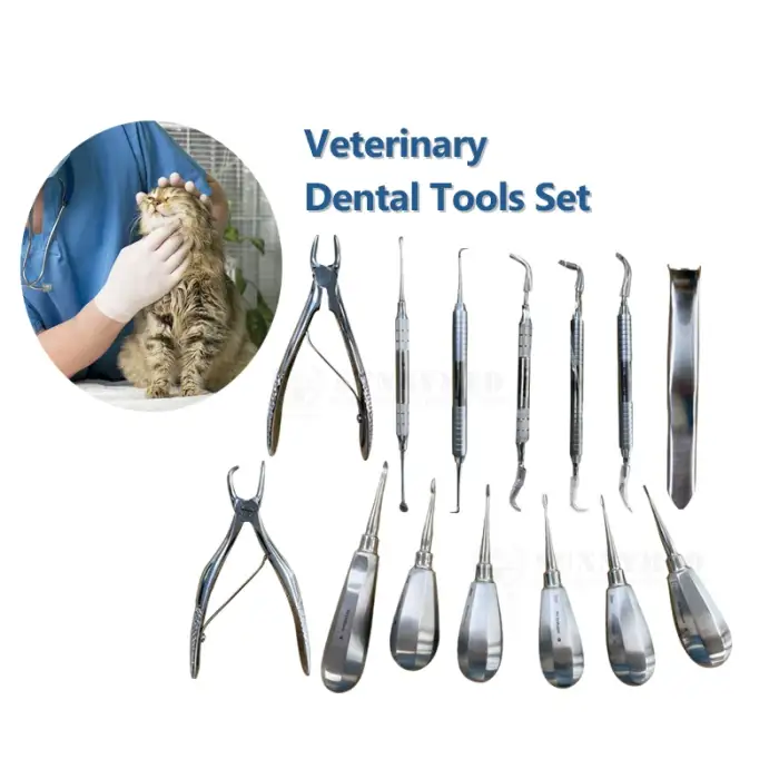 Veterinary Dental Instruments Examination Tools Set of Animal Mouth Health Care Equipment