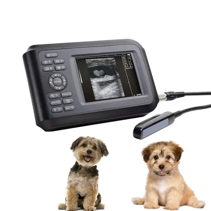 All-Angle Veterinary Ultrasound Instrument for Accurate Animal Diagnosis