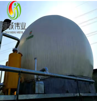 Double Membrane Biogas Holder Biogas Refinery Purification Gasifier Electric Generator System