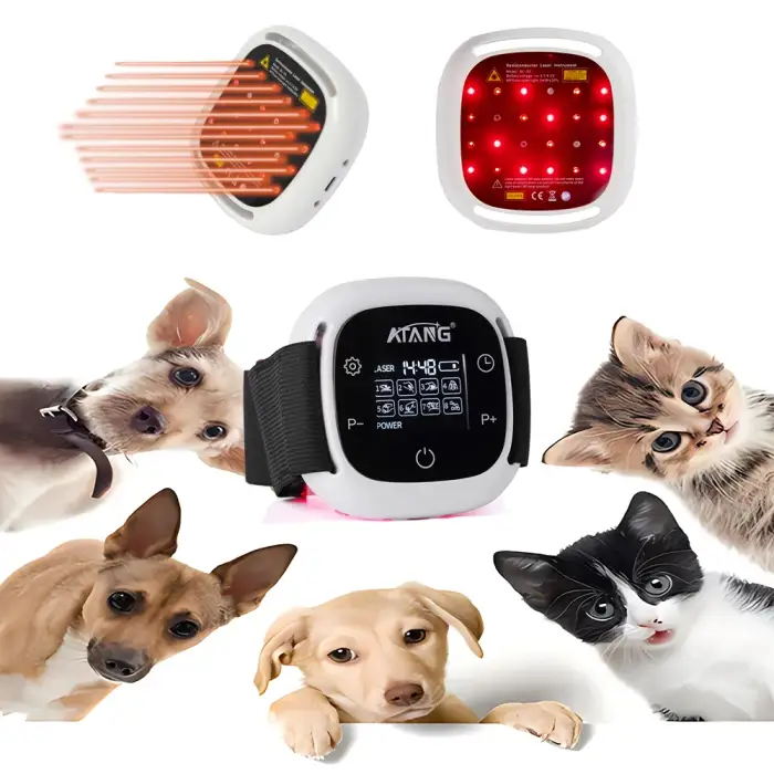 Dog Veterinary Instrument 808nm and 650nm Infrared Laser Therapy for Pain Relief Effective on Arthritis