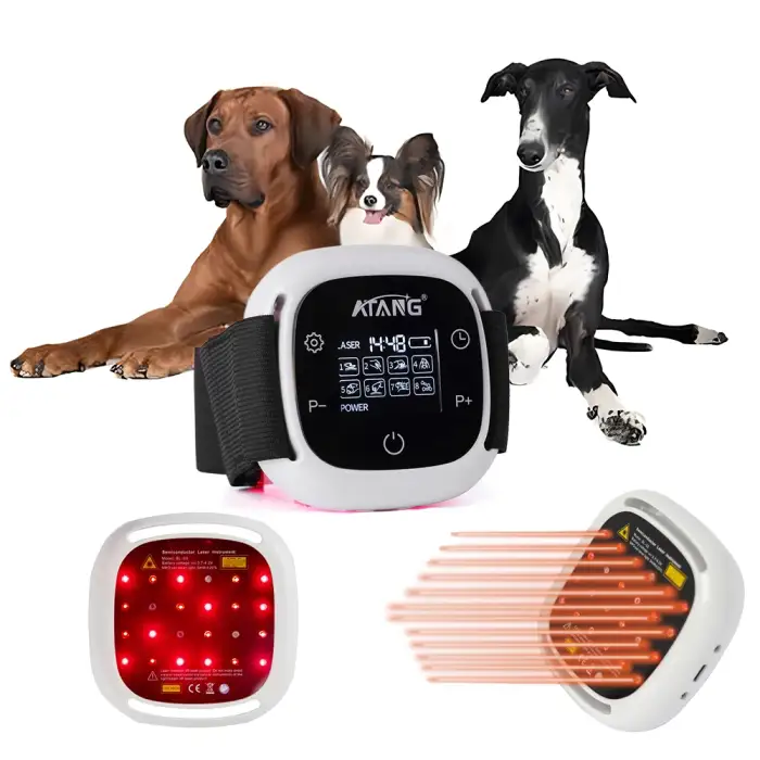 Dog Veterinary Instrument 808nm and 650nm Infrared Laser Therapy for Pain Relief Effective on Arthritis