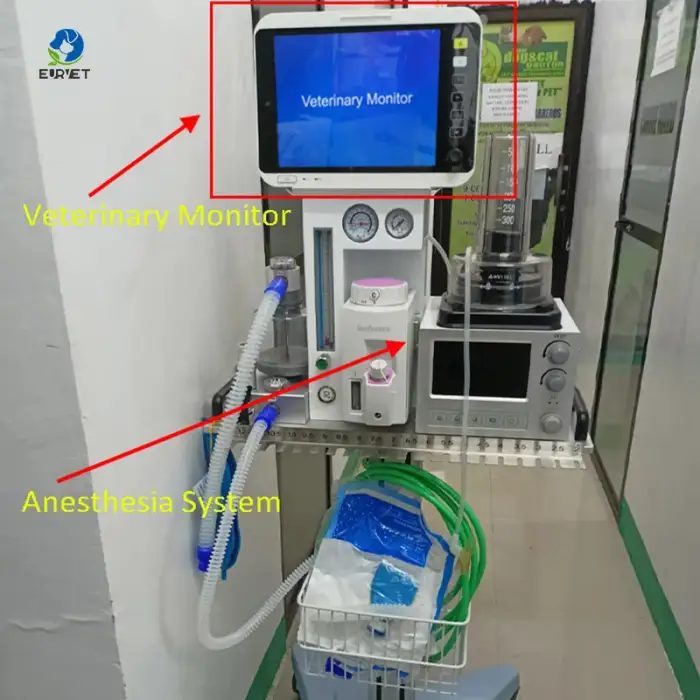 Veterinary Instrument Veterinary Anesthesia Machine For Hospital Surgical Use