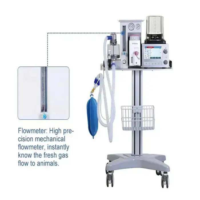 Veterinary Instrument Veterinary Anesthesia Machine For Hospital Surgical Use