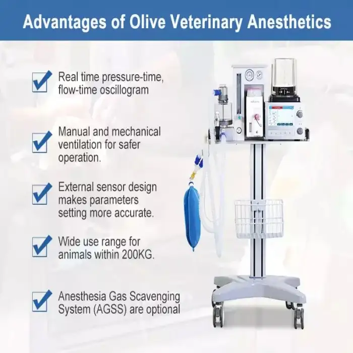 Veterinary Instrument Veterinary Anesthesia Machine For Hospital Surgical Use