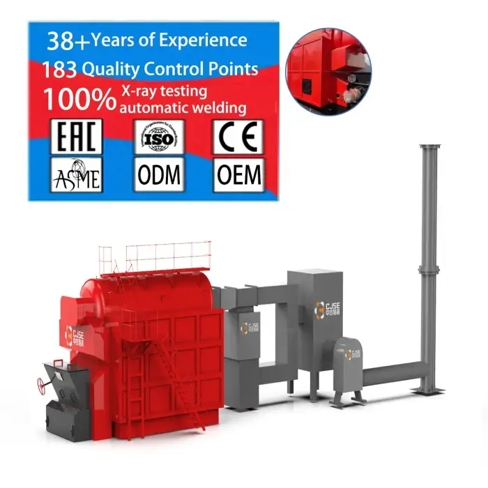 DZL Steam Boiler Biomass Boiler Steam Turbine Boiler Feeding Biomass Industry Machine