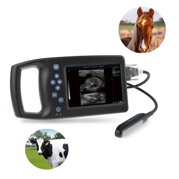 Medical Imaging Portable Veterinary Ultrasonic Diagnostic Instrument for Goats and Sheep