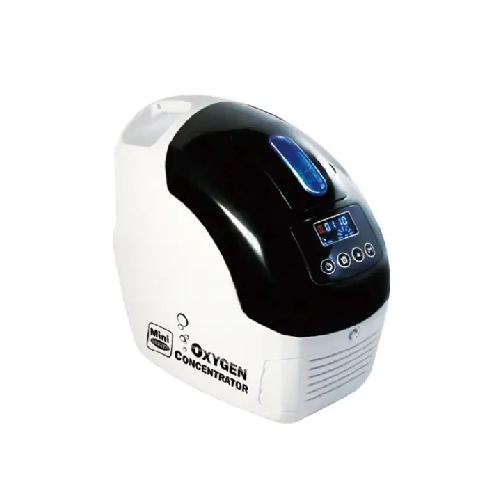 1L Home Use Oxygen Machine Cheap Oxygen Generator Concentrator for Car and Physical Therapy Equipment