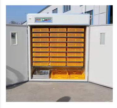 Large Modern Poultry Eggs Hatching Incubator