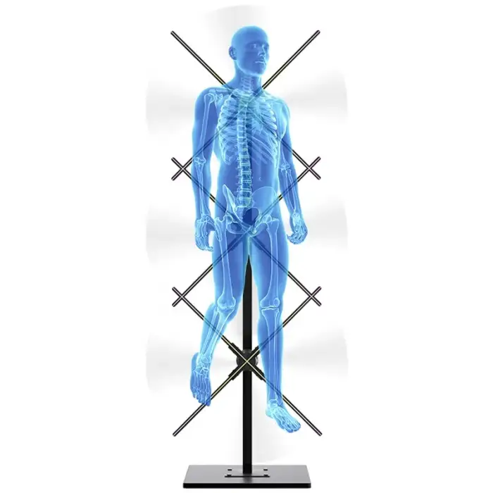 3*65CM 3D Hologram Projector Advertising Equipment Display Stand LED Fan Digital Man Display