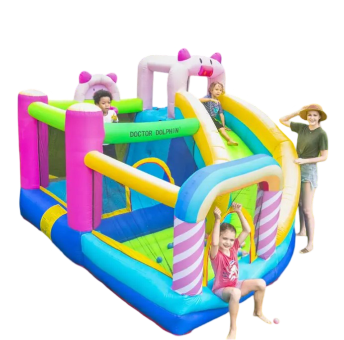 Doctor Dolphin Colorful Air castle Trampolines Playground Child Sports Bouncer Jumping slide pink Inflatable Castle