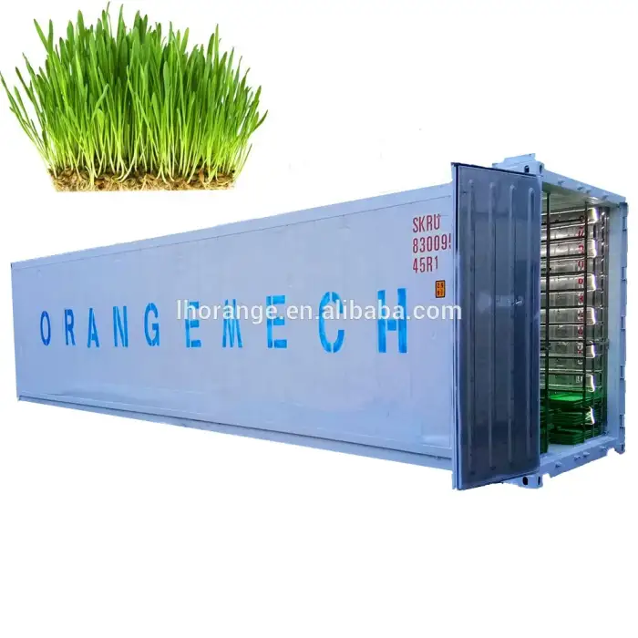 1500Kg/Day Fodder Hydroponic System For Barly Growing