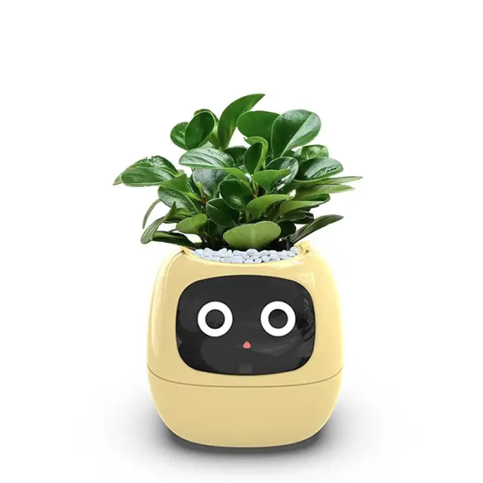 Automatic Water Absorbing AI Sensor Digital Pet Flower Pot Intelligent Smart Planter