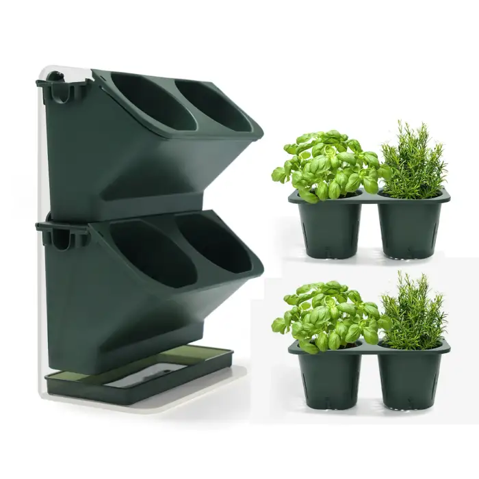 Vertical Wall Window Kitchen Herb Planter Pot Set for Basil Cilantro Celery Scallions