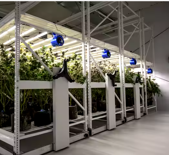 Widespan Grow Vertical Grow Racks for Indoor Agriculture