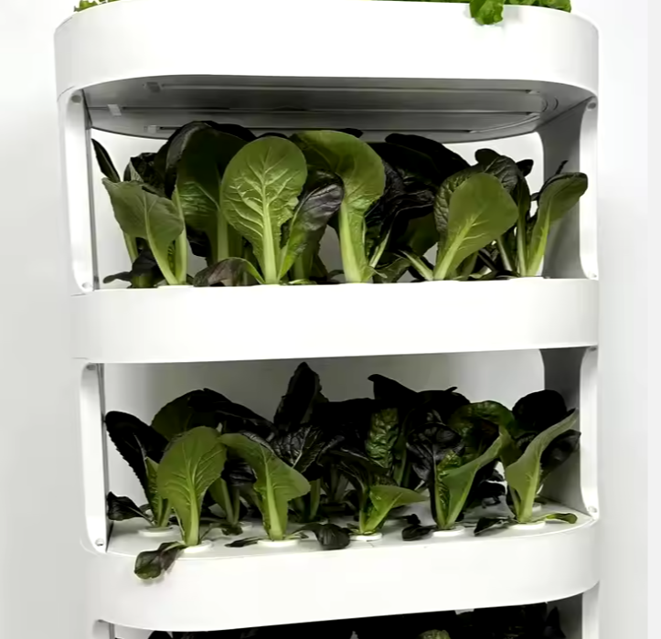 Hydroponic System Smart Automatic Planter with Remote Control