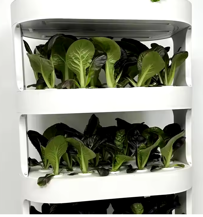 Hydroponic System Smart Automatic Planter with Remote Control