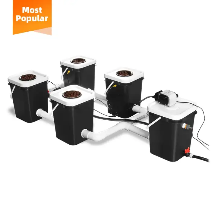 Competitive Price Hydroponic Grow Room Recirculating Hydroponic Pot Growing System Dwc Factory Supply