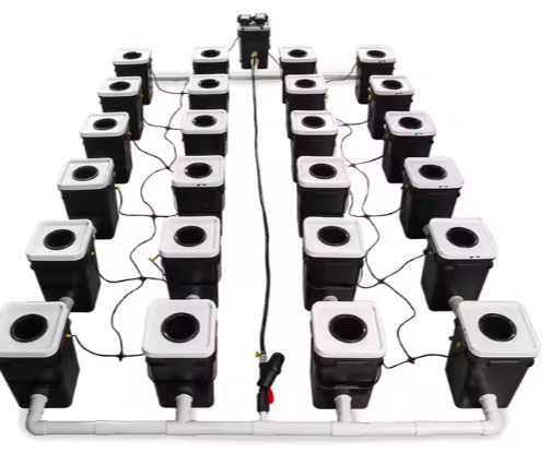 Competitive Price Hydroponic Grow Room Recirculating Hydroponic Pot Growing System Dwc Factory Supply