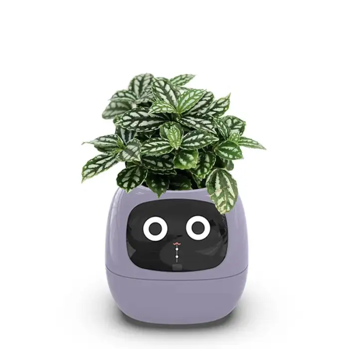 Smart Mimi Flower Pot AI Sensor Time Temperature Display Smart Flower pot smart planter APP Control Flower pot