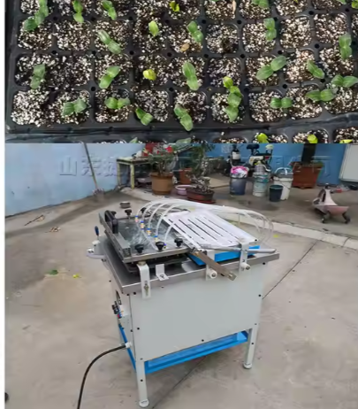 High Efficiency 220V Automatic Plug Seedling Machine for Pepper Tomato Vegetable and Flower Grass Seed Trays