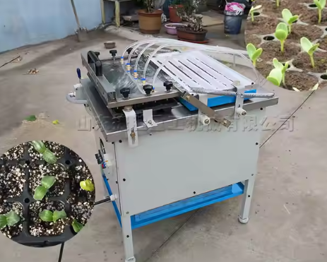 High Efficiency 220V Automatic Plug Seedling Machine for Pepper Tomato Vegetable and Flower Grass Seed Trays