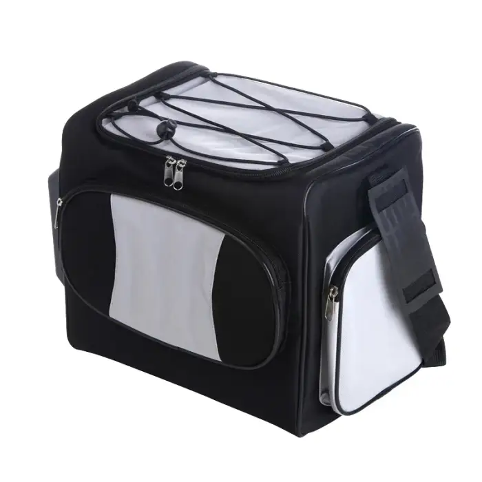 DC 12 Volt Portable Mini Cooler Bag Soft-Sided Thermoelectric Cooler Warmer for Car Hotel Outdoor Adventures