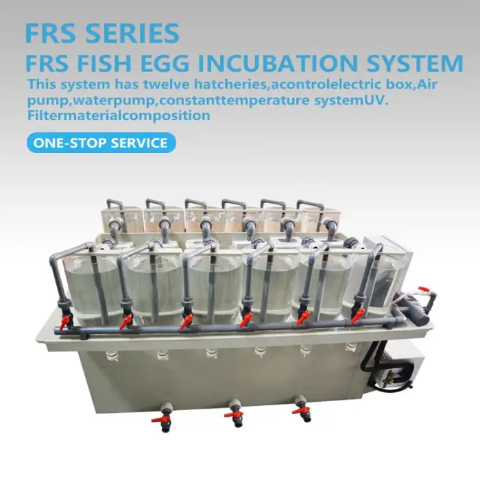 Recirculating Aquaculture System/Indoor Fish Farm/Fish Hatchery Equipment