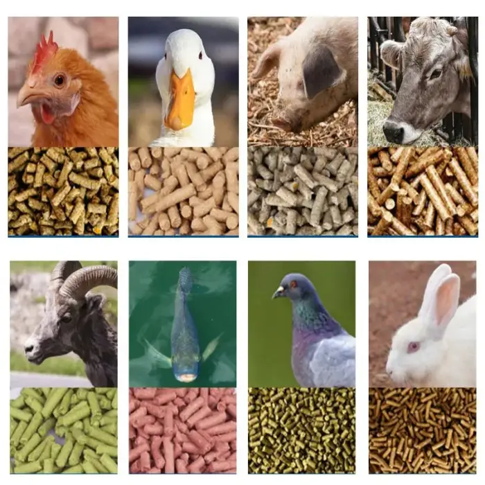 Manual Chicken Feed Pellet Machine Factory Farm