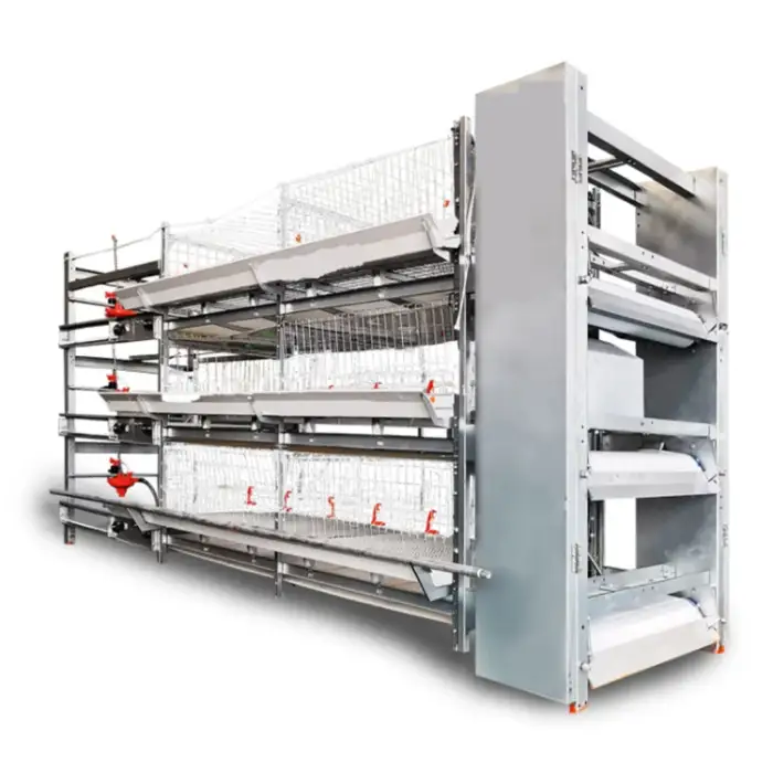 Automatic Poultry Equipment Chicken Farm Broiler Chicken Cage