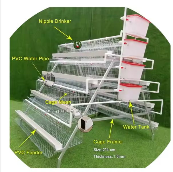 Chicken Cages Poultry Cage Egg Laying Hen Cages For Chicken Farming