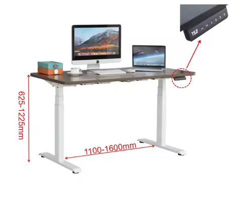 Ergonomic Electric Sit-Stand Desk with Dual Motors and Height Adjustable