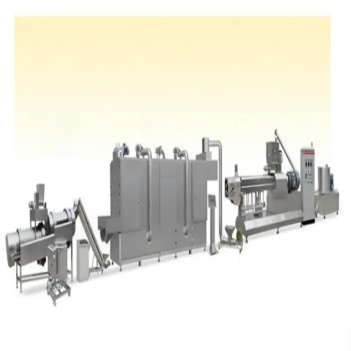 100kg/h Snack Food Processing Line