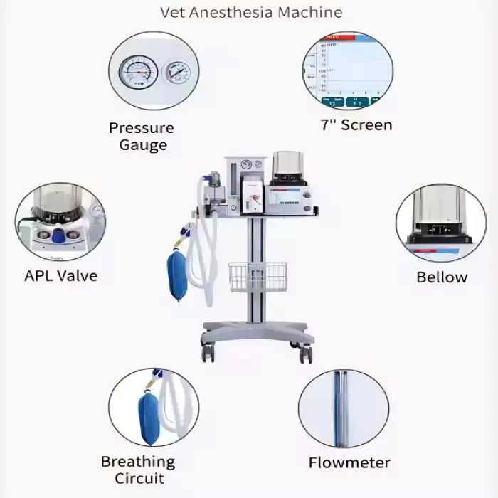 MT MEDICAL Animal Hospital Pet Clinic Anestesia Machine