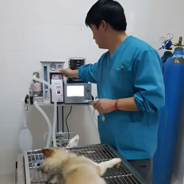 MT MEDICAL Animal Hospital Pet Clinic Anestesia Machine