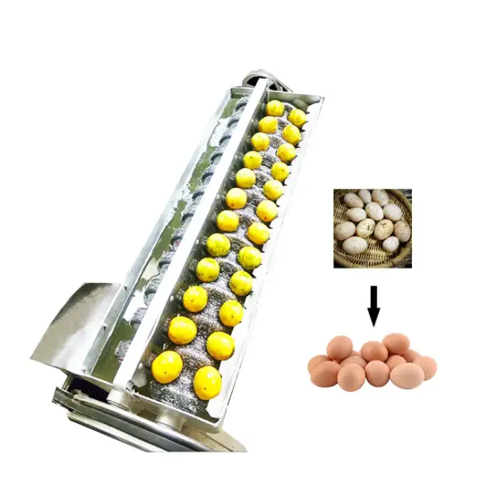 Automatic Egg Processing Equipment Cleaning Machine