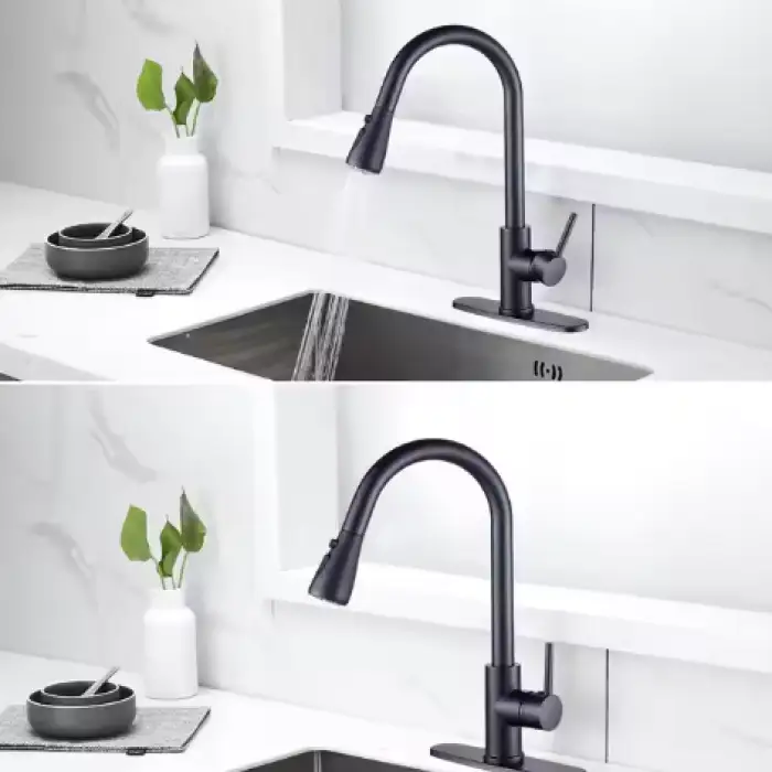 Matte Black Robinet Kitchen Sink Faucet