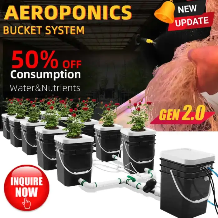 Hydroponic Grow Room Recirculating Hydroponic Pot Growing System