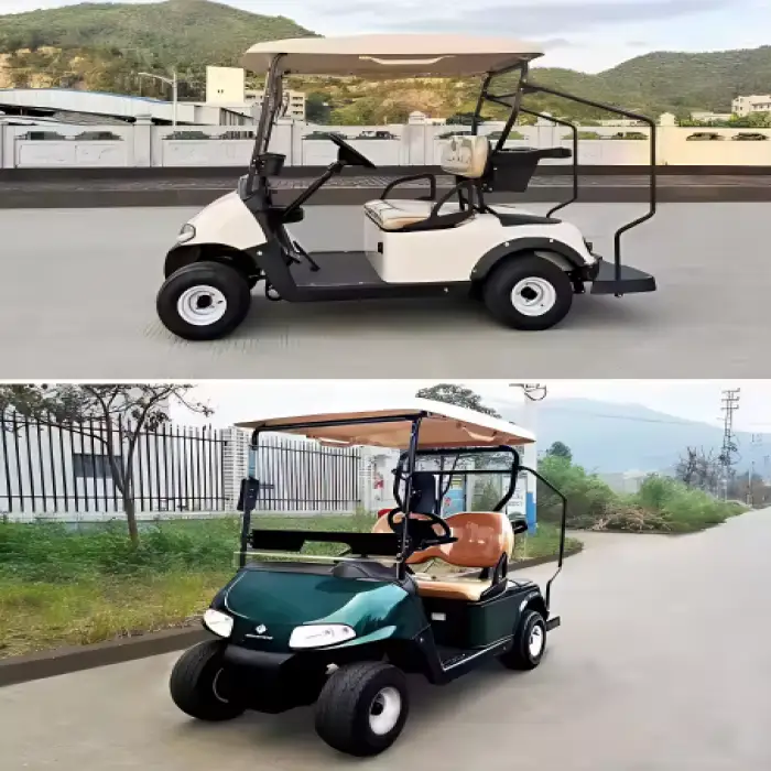 Two-Seater Golf Cart with USA Curtis Controller – Efficient and Customizable